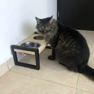 Comedero y bebedero Gatos y perro pequeño